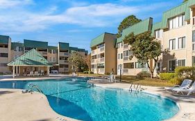 Classy & Comfortable Condo!